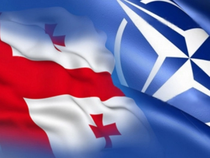 საქართველო ნატოში გაწევრიანების სტრატეგიას იხილავს - შეიცვლება თუ არა ჩრდილოატლანტიკური ხელშეკრულების მეექვსე მუხლი?