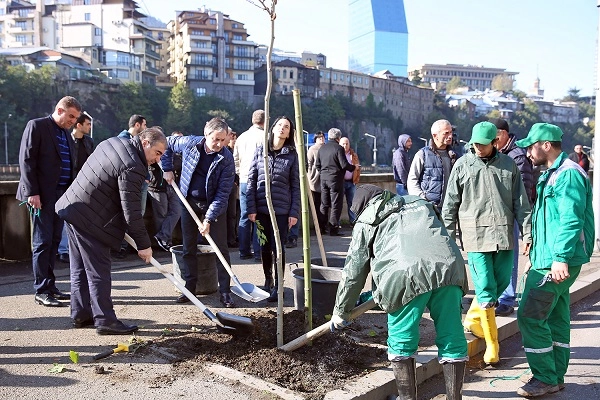 დედაქალაქში საშემოდგომო გამწვანების მასშტაბური სამუშაოები დაიწყო