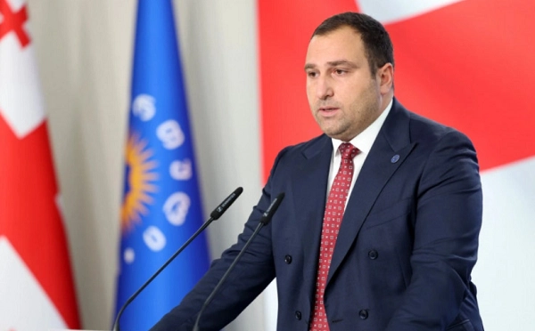 ღირსეული პასუხი გვექნება ყველა ინსტანციაში - ირაკლი კირცხალია BBC-ის სტატიაზე