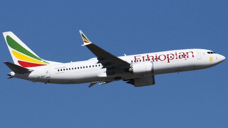 Boeing 737 MAX-ის ავიაკატასტროფის სავარაუდო მიზეზი ფრინველთან შეჯახება გახდა