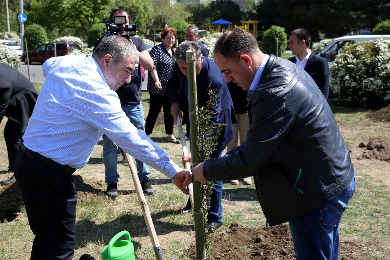  თბილისის მერია ხე-მცენარეების დარგვას განაგრძობს