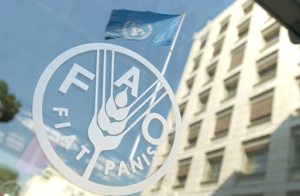 FAO-ს სურსათის ფასის ინდექსი თებერვალში სტაბილურია