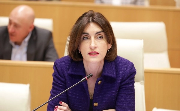 ევროკავშირი ნიკა გვარამიას შეწყალების გადაწყვეტილებას ისე თუ ხედავს, რომ შეიძლება, ეს დეპოლარიზაციად ჩაითვალოს, შეფასებებს ვნახავთ, რომელიც საქართველოსთან დაკავშირებით გაკეთდება - მაკა ბოჭორიშვილი