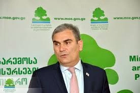 მწვანე ჩაი მინისტრთან ერთად