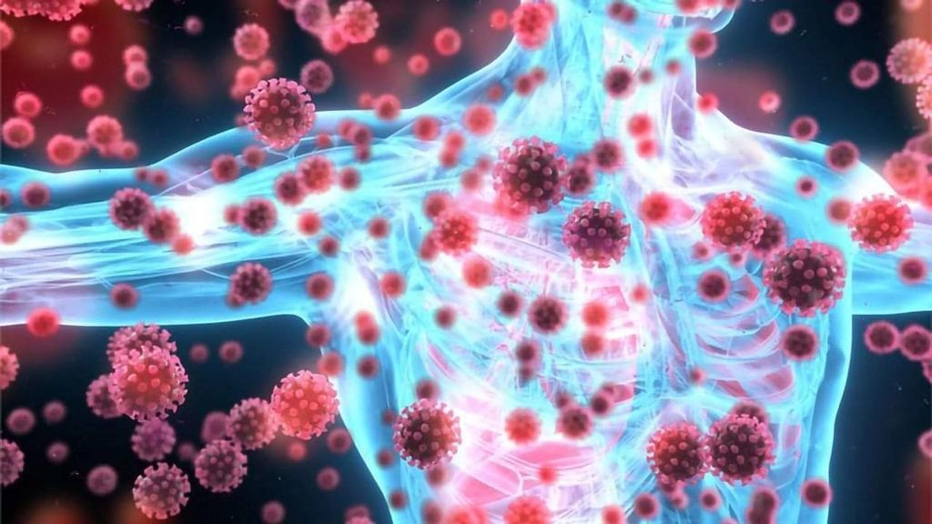 როგორ ებრძვის იმუნური სისტემა ინფექციას და როდის ილევა ჩვენი ანტისხეულები - ყველაფერი იმუნიტეტის შესახებ