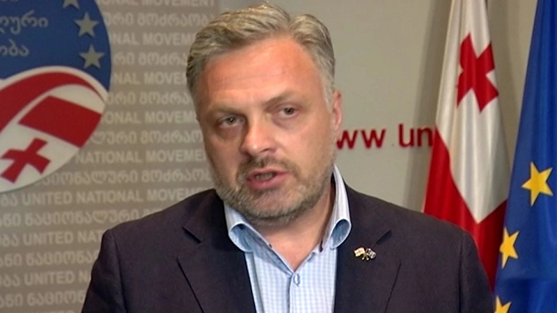 მოვუწოდებ სალომე სამადაშვილსა და რომან გოცირიძეს, მხარდამჭერებს ბოდიში მოუხადონ - გია ბარამიძე