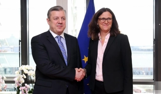გიორგი კვირიკაშვილი სესილია მალმსტრომს შეხვდება