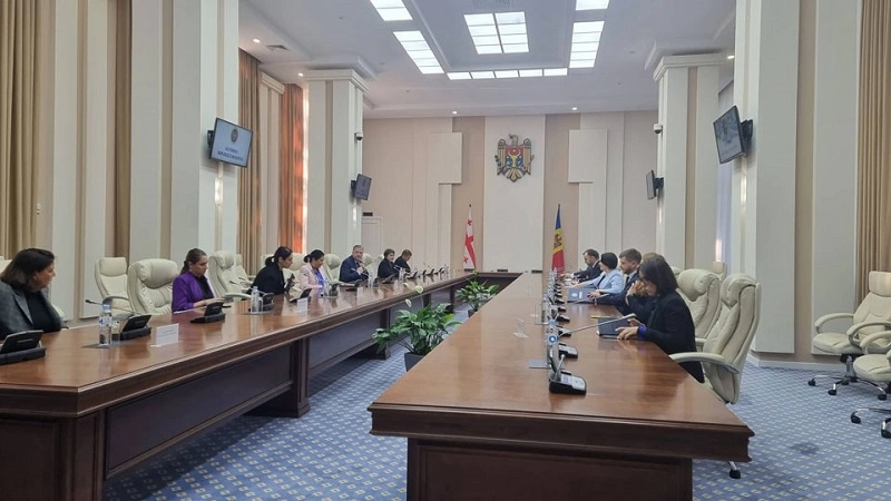 სალომე ზურაბიშვილი მოლდოვის რესპუბლიკის პრემიერ-მინისტრს შეხვდა