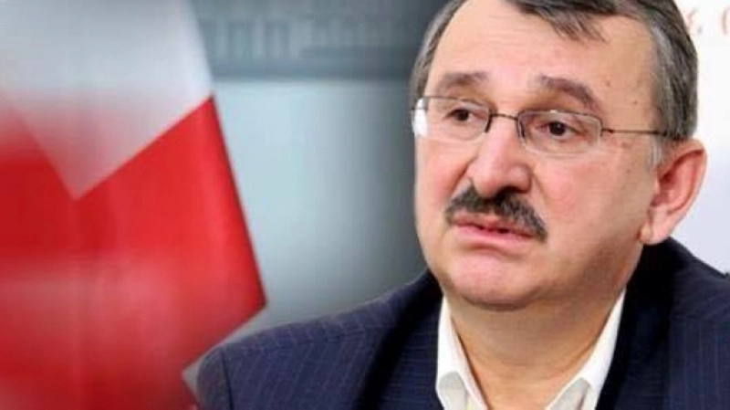 ლარი მთავრობამ და ეროვნულმა ბანკმა დაიჭირეს წინასაარჩევნოდ - რომან გოცირიძე
