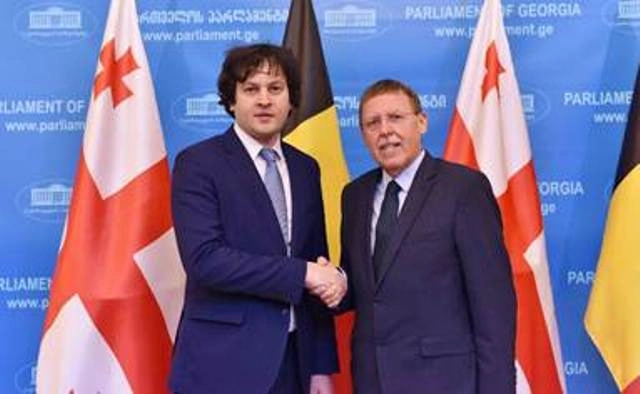  ირაკლი კობახიძე ბელგიის სამეფოს ფედერაციული პარლამენტის წარმომადგენელთა პალატის თავმჯდომარეს შეხვდა