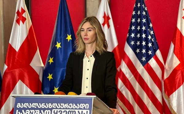 არჩევნებზე ხელისუფლების ცვლილების შემდეგ, მყისიერად გავხსნით მოლაპარაკებებს ევროკავშირში გაწევრიანებასთან დაკავშირებით - თინა ბოკუჩავა