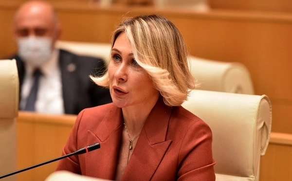 29 აპრილს გვითხრეს ძალიან კარგი სიტუაციია მედიის კუთხითო, დღეს გვითხრეს, კატასტროფააო. ამას ჰქვია "ნამდვილი მეგობრობა" - ნინო წილოსანი ევროპარლამენტის რეზოლუაციაზე