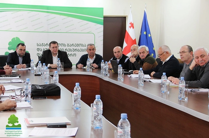 გარემოს დაცვის მინისტრის მოადგილე სასარგებლო წიაღისეულის მოპოვების ლიცენზიანტებს შეხვდა