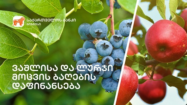 საქართველოს ბანკი მომხმარებელს შეღავათიან აგროკრედიტს სთავაზობს 