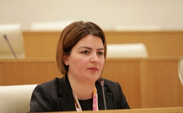 ათასობით ემიგრანტი თქვენი დანაშაულებრივი პოლიტიკის მთავარი მოწმეა - ანა ნაცვლიშვილი „ქართულ ოცნებას“