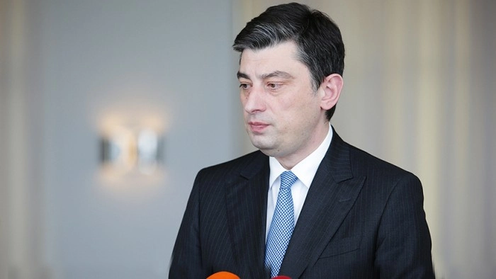 ტერორიზმში ბრალდებულები საქართველოში არალეგალური გზით შემოვიდნენ - შს მინისტრი