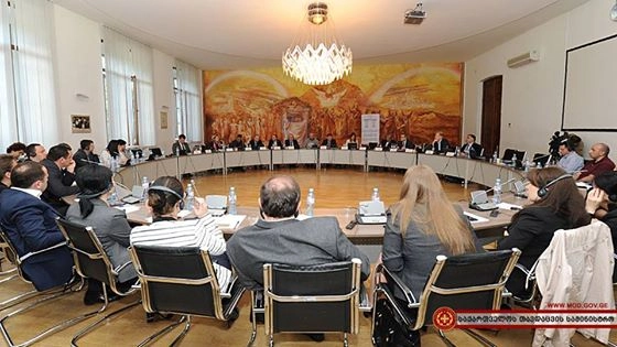 ანა დოლიძე კანონის უზენაესობის თემაზე