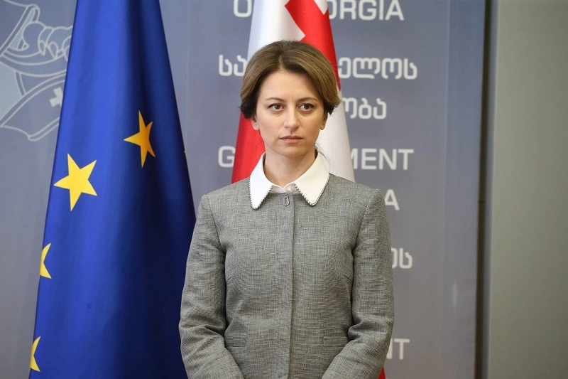 გრიპის ვირუსი არის ყველა ქვეყანაში ყოველ წელს და ჩვენც როგორმე გადავიტანთ ამას - ეკატერინე ტიკარაძე