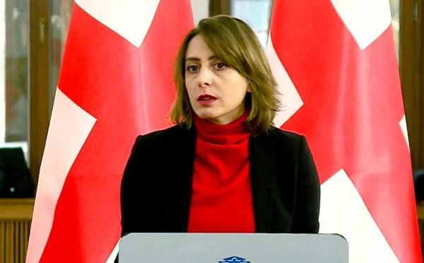  როგორც ვიცი, ნიკა გვარამია ახალი პარტიით უახლოეს პერიოდში წარდგება - ხატია დეკანოიძე