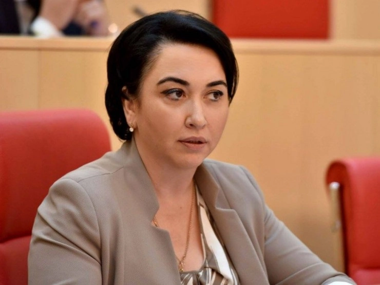 საარჩევნო კამპანიის ბოლო ეტაპი, „ნაციონალური მოძრაობის“ მხრიდან მიმდინარეობს პროვოკაციული სურვილით, რომ ქვეყანაში ქაოტურობის განცდა შექმნან - ბესელია