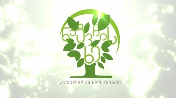  საქველმოქმედო ფონდი „ნატვრის ხე“ მსოფლიო ვარსკვლავების მონაწილეობით რიგით მე-7 კონცერტს გამართავს