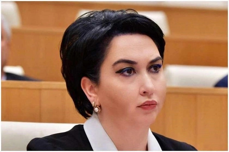 ვანო ზარდიაშვილი არის მოსიარულე ნაღმი - ეკა ბესელია
