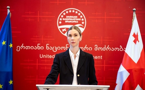ევროპელი პარტნიორები მეუბნებოდნენ მაგალითად, უკრაინაში ვიცოდით, ვისთან უნდა გვესაუბრა, ესენი იყვნენ იყო იუჩენკო და ტიმოშენკო, თქვენს შემთხვევაში, ვის ვესაუბრებით, ვინ წარმოადგენს ოპოზიციას - თინა ბოკუჩავა
