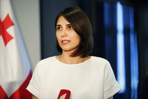 ნინო ჯავახაძე ნატოს გენერალური მდივნის მოადგილის თანაშემწეს - ჯონათან პერიშს შეხვდა