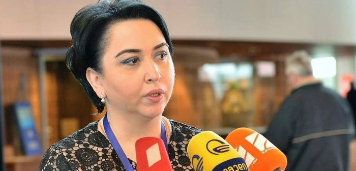  ჩვენ კომფორტული გზით არ დავდივართ - ეკა ბესელია