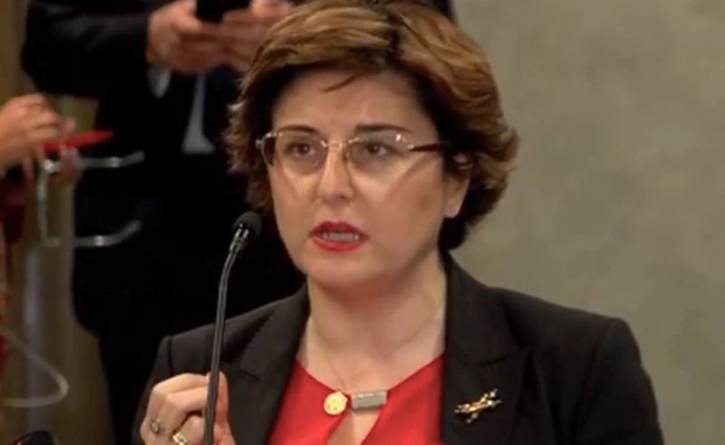 დოკუმენტი მისაღებია რესპუბლიკური პარტიისთვის. მზად ვართ, ხელი მოვაწეროთ - ხათუნა სამნიძე