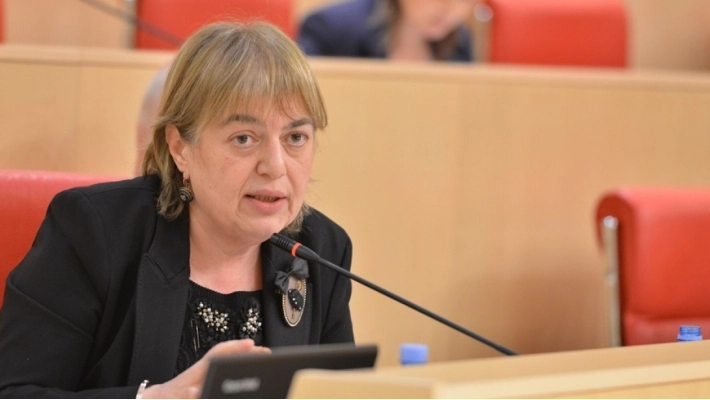 "ქართული ოცნება" ერთს ამბობს და შემდეგ მეორეს აკეთებს - ხათუნა გოგორიშვილი