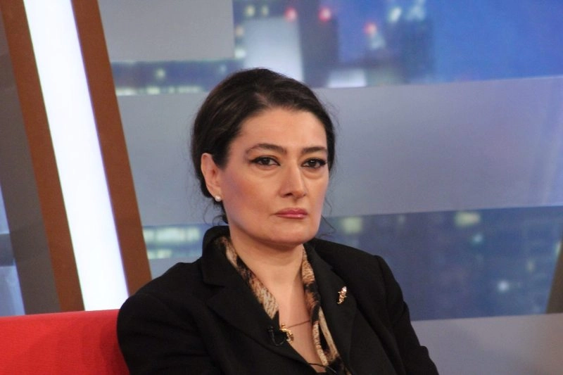  თუ ხელისუფლებას რევოლუცია მოენატრა, ეს იქნება სიტყვის თავისუფლების რევოლუცია - თაკო ჩარკვიანი