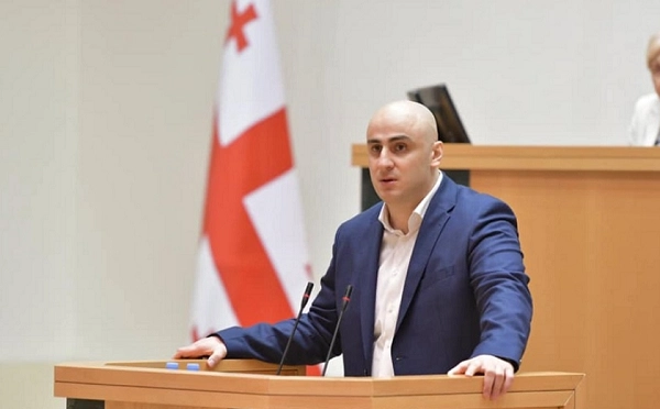 პარლამენტმა ნიკა მელიას სადეპუტატო უფლებამოსილება შეუწყვიტა 