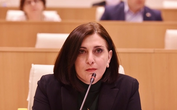 ვიდრე პერსონალური შავი დღე დაუდგა ვინმეს, გაიწვიონ ეს კანონი - თამარ კორძაია 