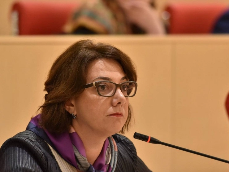 ჩვენ და რაც მთავარია, ზაზა სარალიძე უნდობლობას ვუცხადებთ საგამოძიებო კომისიას - სალომე სამადაშვილი