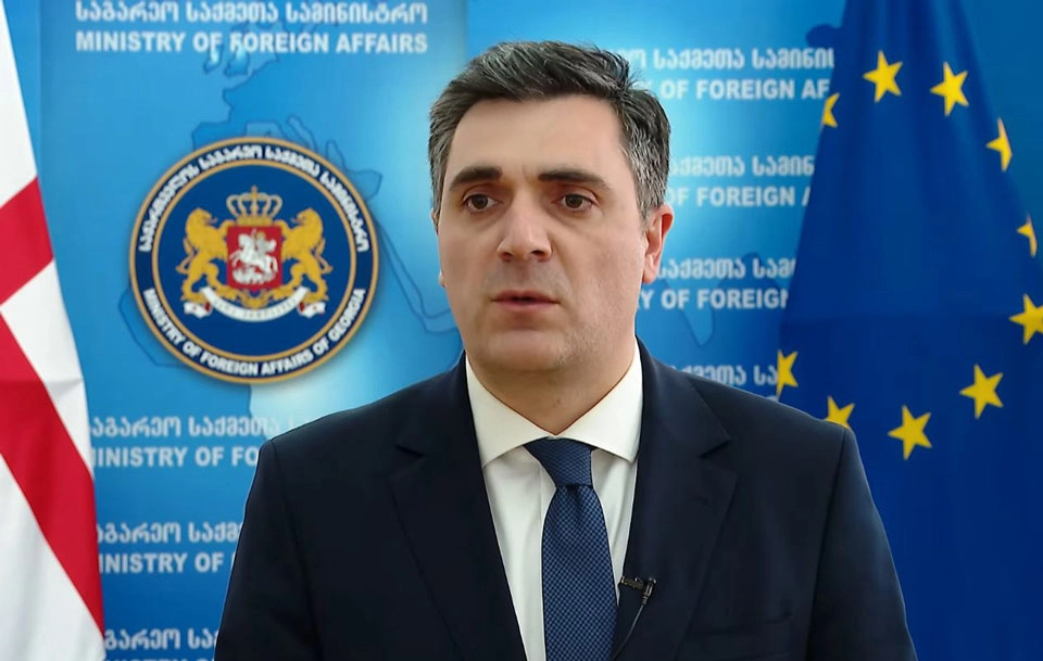 გაუგებარი განცხადებები ზიანს აყენებს ორი ქვეყნის ურთიერთობებს - დარჩიაშვილი არესტოვიჩის განცხადებაზე