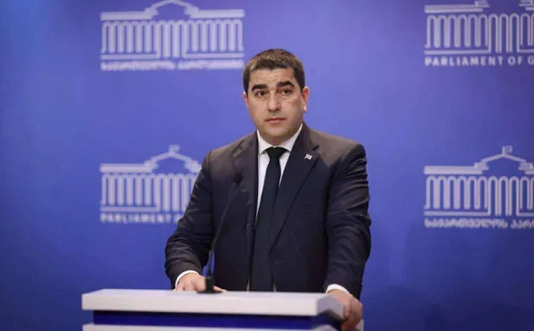 ეს არის ეკონომიკური დივერსია, რომელიც ორგანიზებულია გარედან - შალვა პაპუაშვილი Eagle Hills-ის პროექტზე
