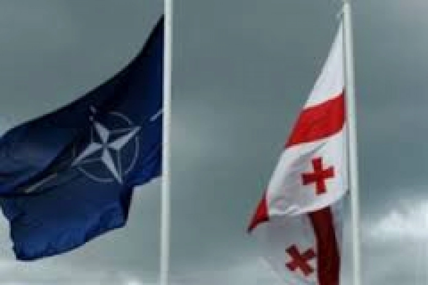 ბენჯამენ ზიფი: მსხვერპლი, რომელიც გაიღო საქართველომ, დაფასებულია