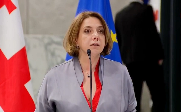 მეც თხოვნით მივმართე ევროპარლამენტის წევრებს, ნიკა მელიას თავდებობის შესახებ - სამადაშვილი