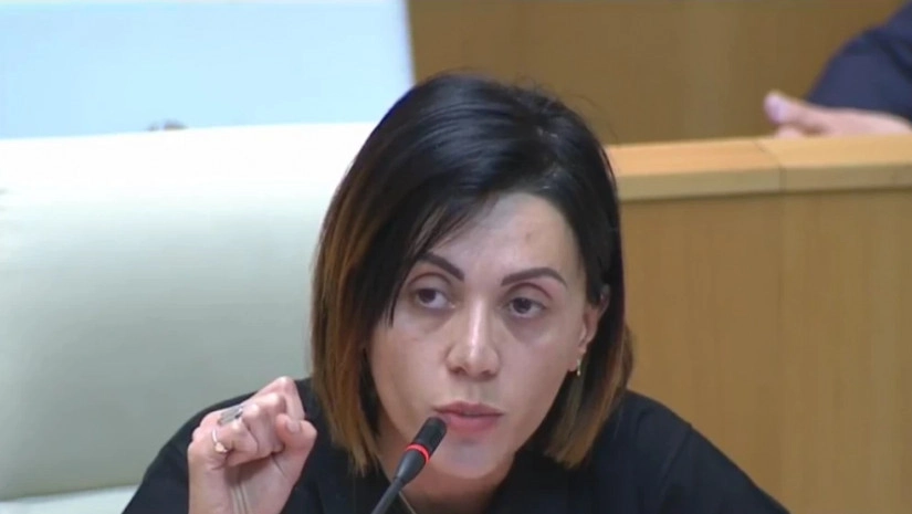 ადამიანები, რომლებიც ახლა ერთობისკენ მოგვიწოდებენ არიან ისინი, რომლებმაც თავის დროზე დაარღვიეს ერთობა - ანა წითლიძე