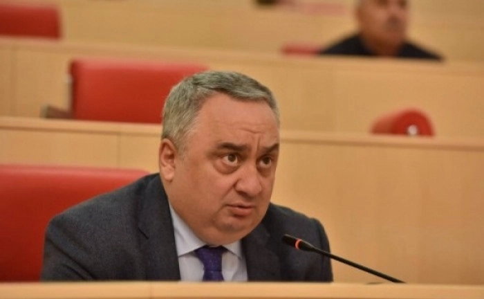ზვიად კვაჭანტირაძე დიასპორისა და კავკასიის საკითხთა კომიტეტის თავმჯდომარეობიდან ვერ გადააყენეს
