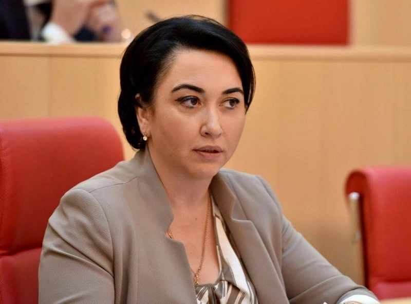 გრიგოლ ვაშაძეს შეწყალებასა და ამნისტიას შორის განსხვავება ვინმემ უნდა აუხსნას - ეკა ბესელია