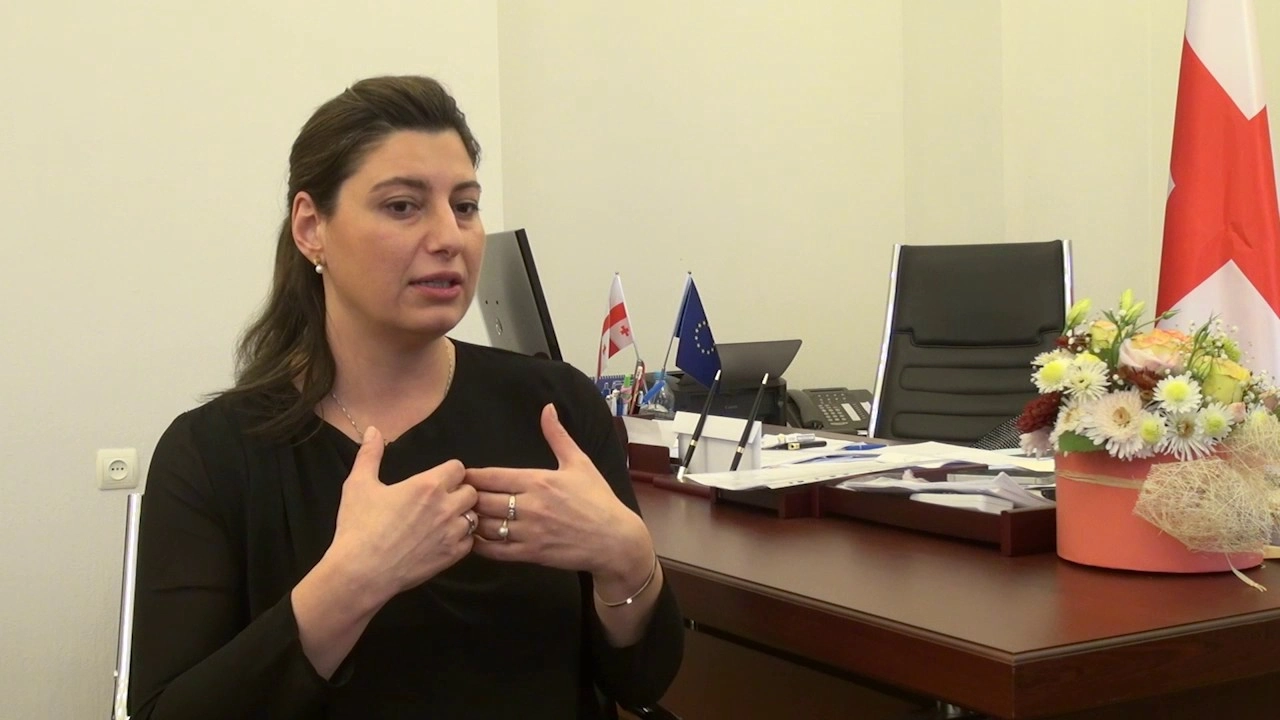  რუსეთის პროვოკაციული ნაბიჯები რეგიონის დესტაბილიზაციისკენ არის მიმართული - სოფიო ქაცარავა
