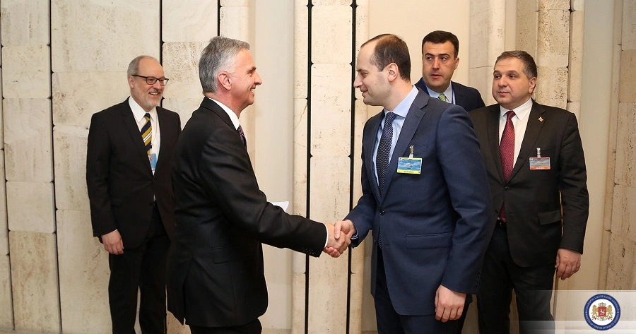 მიხეილ ჯანელიძე შვეიცარიის კონფედერაციის საგარეო საქმეთა მინისტრს შეხვდა