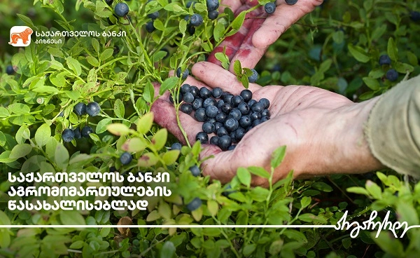 საქართველოს ბანკი აგროსექტორის მხარდაჭერას განაგრძობს