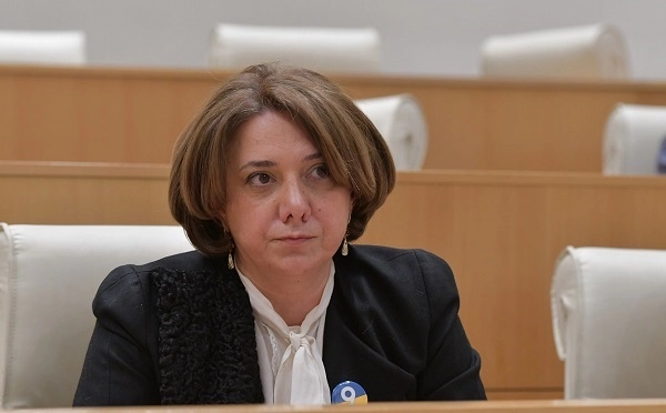 „ქართული ოცნება“ ვიდრე არ ჩამოსცილდება ხელისუფლებას, საქართველო ვერ მიიღებს კანდიდატის სტატუსს, ეს დადასტურდა ევროკავშირში გამართულ დებატებზე - სამადაშვილი