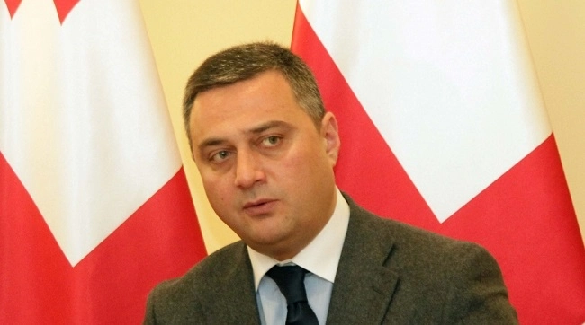  ხელისუფლებას რუსი დეპუტატების საქართველოში დაპატიჟებასთან კავშირი არ აქვს - დოლიძე