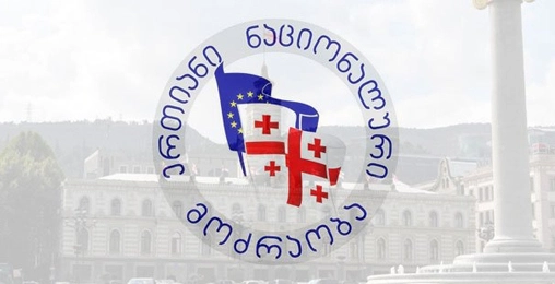  ენმ-ის წევრები დიპლომატიური კორპუსის წარმომადგენლებს შეხვდნენ