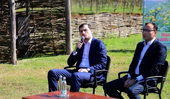 მნიშვნელოვანია, რომ თითოეული კილოგრამი ციტრუსი იყოს დროულად რეალიზებული - თორნიკე რიჟვაძე