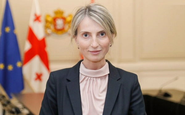  უცხოური ძალის ინტერესების გამტარებელ ორგანიზაციათა რეესტრში დასარეგისტრირებლად 233-მა ორგანიზაციამ მოგვმართა - ტყეშელაშვილი